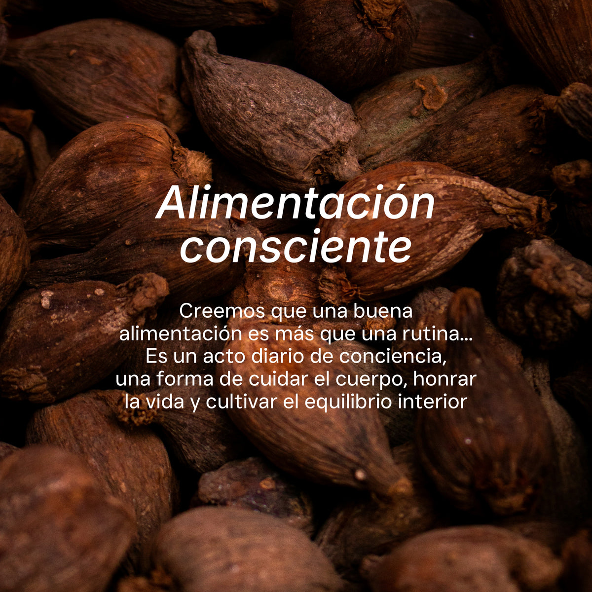 Granos de cacao con mensaje de alimentación consciente